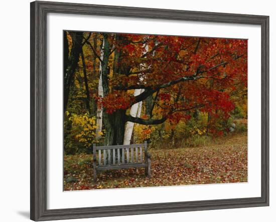 Empty Bench under Maple Tree, Twin Ponds Farm, West River Valley, Vermont, USA-Scott T^ Smith-Framed Photographic Print