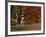 Empty Bench under Maple Tree, Twin Ponds Farm, West River Valley, Vermont, USA-Scott T^ Smith-Framed Photographic Print