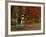 Empty Bench under Maple Tree, Twin Ponds Farm, West River Valley, Vermont, USA-Scott T^ Smith-Framed Photographic Print