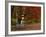 Empty Bench under Maple Tree, Twin Ponds Farm, West River Valley, Vermont, USA-Scott T^ Smith-Framed Photographic Print