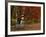 Empty Bench under Maple Tree, Twin Ponds Farm, West River Valley, Vermont, USA-Scott T^ Smith-Framed Photographic Print