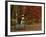 Empty Bench under Maple Tree, Twin Ponds Farm, West River Valley, Vermont, USA-Scott T^ Smith-Framed Photographic Print