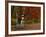 Empty Bench under Maple Tree, Twin Ponds Farm, West River Valley, Vermont, USA-Scott T^ Smith-Framed Photographic Print