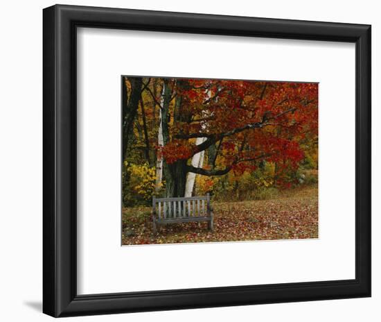 Empty Bench under Maple Tree, Twin Ponds Farm, West River Valley, Vermont, USA-Scott T^ Smith-Framed Photographic Print