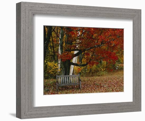 Empty Bench under Maple Tree, Twin Ponds Farm, West River Valley, Vermont, USA-Scott T^ Smith-Framed Photographic Print