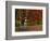 Empty Bench under Maple Tree, Twin Ponds Farm, West River Valley, Vermont, USA-Scott T^ Smith-Framed Photographic Print