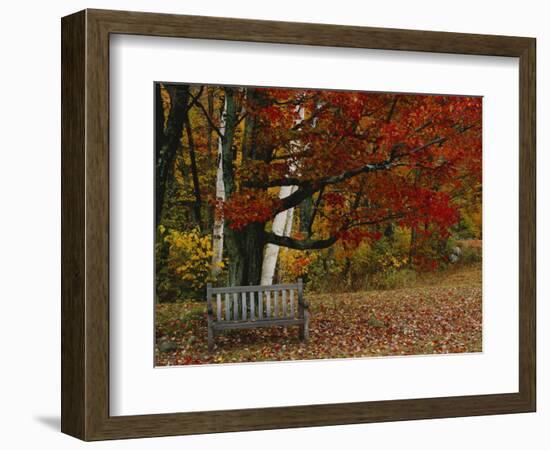 Empty Bench under Maple Tree, Twin Ponds Farm, West River Valley, Vermont, USA-Scott T^ Smith-Framed Photographic Print