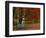 Empty Bench under Maple Tree, Twin Ponds Farm, West River Valley, Vermont, USA-Scott T^ Smith-Framed Photographic Print