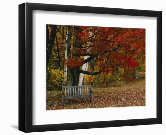 Empty Bench under Maple Tree, Twin Ponds Farm, West River Valley, Vermont, USA-Scott T^ Smith-Framed Photographic Print