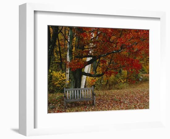 Empty Bench under Maple Tree, Twin Ponds Farm, West River Valley, Vermont, USA-Scott T^ Smith-Framed Photographic Print