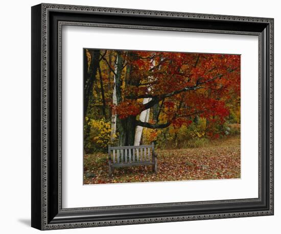 Empty Bench under Maple Tree, Twin Ponds Farm, West River Valley, Vermont, USA-Scott T^ Smith-Framed Photographic Print