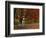 Empty Bench under Maple Tree, Twin Ponds Farm, West River Valley, Vermont, USA-Scott T^ Smith-Framed Photographic Print