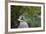 Empty Boardwalk, Lower Lakes, Plitvice Lakes NP, Croatia. Before The Large Waterfall Or Veliki Slap-Karine Aigner-Framed Photographic Print