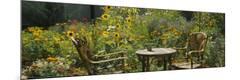 Premium Photographic Print
