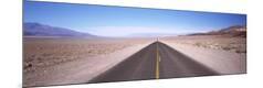 Photographic Print