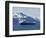 Empty Oil Tanker, Prince William Sound, Alaska, USA-Hugh Rose-Framed Photographic Print