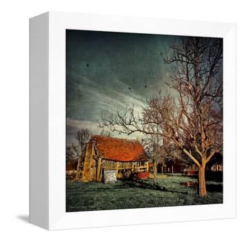 Empty Old Barn in America-Salvatore Elia-Framed Premier Image Canvas