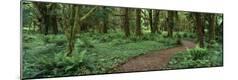 Photographic Print