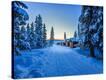 Stretched Canvas Print
