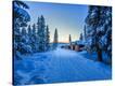 Stretched Canvas Print