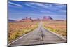 Empty Road, Highway 163, Monument Valley, Utah, United States of America, North America-Neale Clark-Mounted Photographic Print