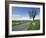 Empty Road with Tree and Wild Flowers Near Montpeyroux, Herault, in Languedoc Roussillon, France-Michael Busselle-Framed Photographic Print
