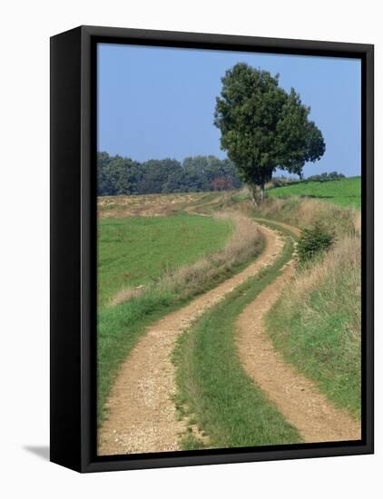 Empty Rural Road or Farm Track in Agricultural Land, Picardie, France, Europe-Thouvenin Guy-Framed Premier Image Canvas