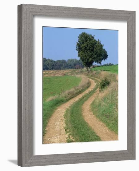 Empty Rural Road or Farm Track in Agricultural Land, Picardie, France, Europe-Thouvenin Guy-Framed Photographic Print