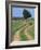 Empty Rural Road or Farm Track in Agricultural Land, Picardie, France, Europe-Thouvenin Guy-Framed Photographic Print
