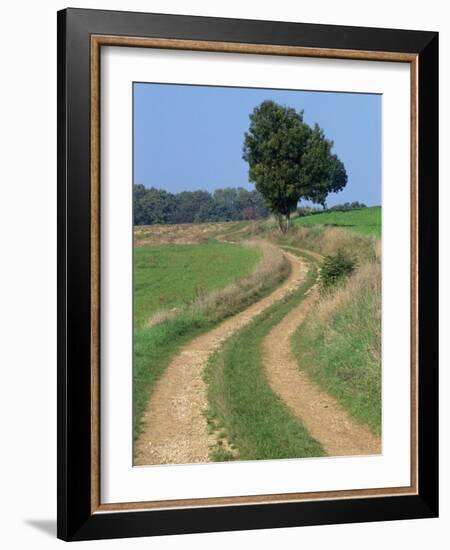 Empty Rural Road or Farm Track in Agricultural Land, Picardie, France, Europe-Thouvenin Guy-Framed Photographic Print