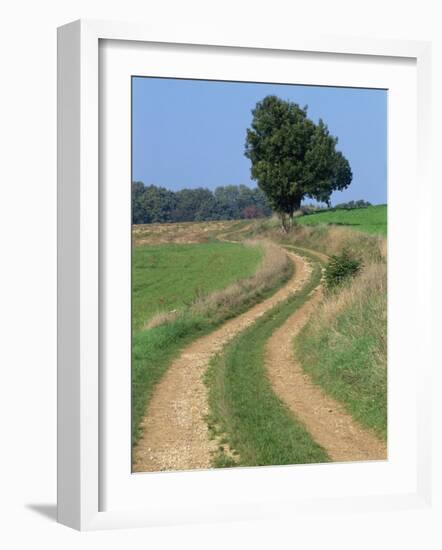 Empty Rural Road or Farm Track in Agricultural Land, Picardie, France, Europe-Thouvenin Guy-Framed Photographic Print