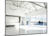 Empty White Room with Large Windows and Scenic View-PlusONE-Mounted Photographic Print