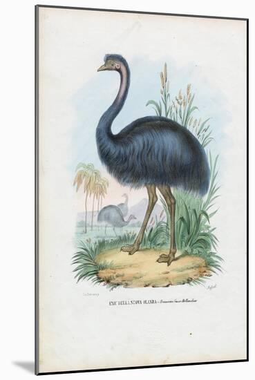 Emu, 1863-79-Raimundo Petraroja-Mounted Giclee Print
