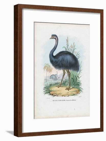 Emu, 1863-79-Raimundo Petraroja-Framed Giclee Print