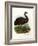 Emu, 1864-null-Framed Giclee Print