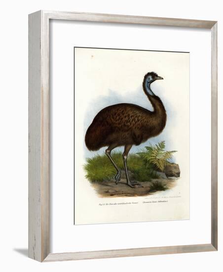 Emu, 1864-null-Framed Giclee Print