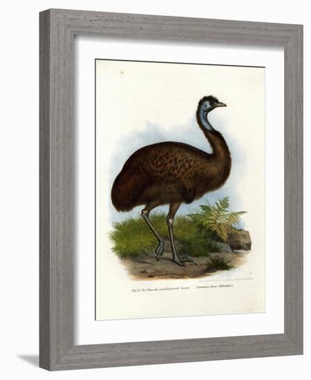 Emu, 1864-null-Framed Giclee Print