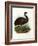 Emu, 1864-null-Framed Giclee Print