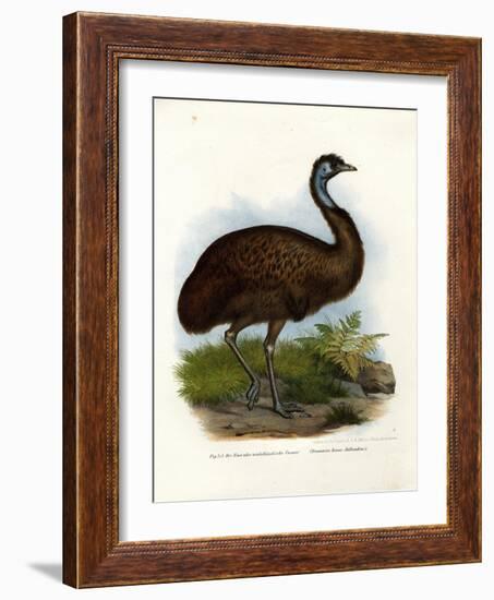 Emu, 1864-null-Framed Giclee Print