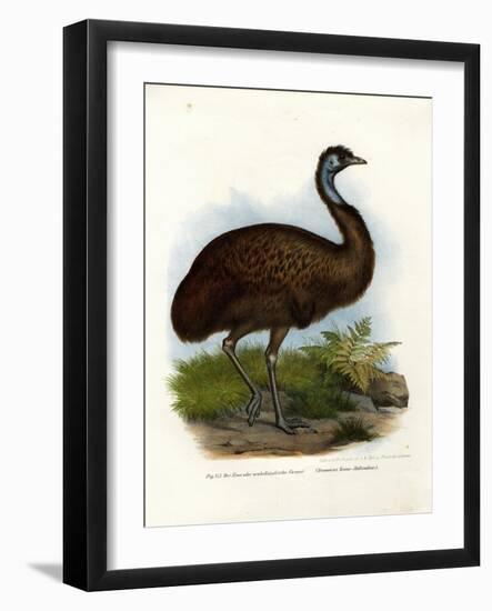 Emu, 1864-null-Framed Giclee Print