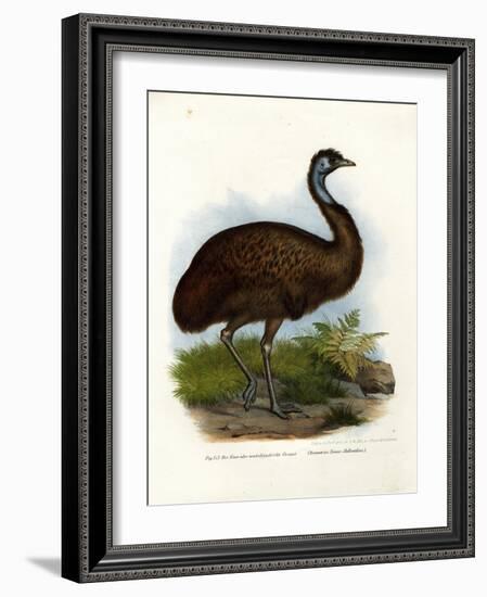 Emu, 1864-null-Framed Giclee Print