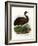 Emu, 1864-null-Framed Giclee Print