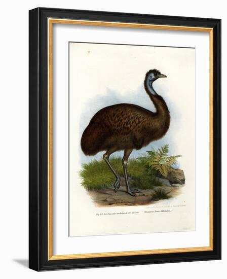 Emu, 1864-null-Framed Giclee Print