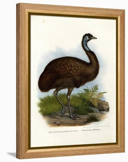 Emu, 1864-null-Framed Premier Image Canvas