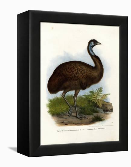 Emu, 1864-null-Framed Premier Image Canvas