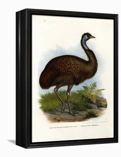 Emu, 1864-null-Framed Premier Image Canvas