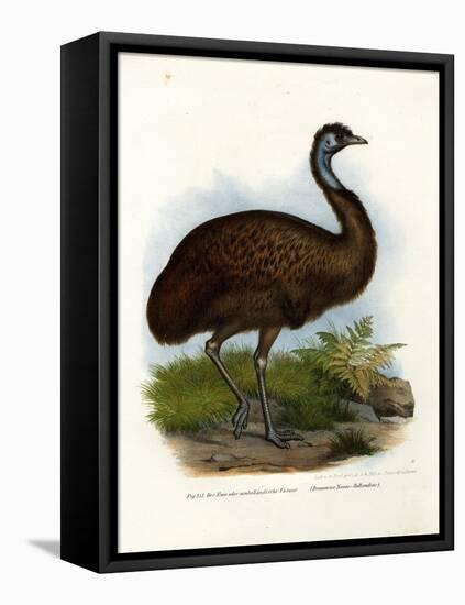 Emu, 1864-null-Framed Premier Image Canvas