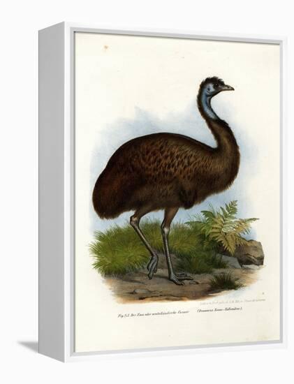 Emu, 1864-null-Framed Premier Image Canvas