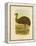 Emu, 1891-Gracius Broinowski-Framed Premier Image Canvas