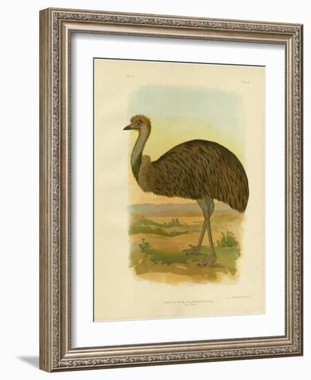 Emu, 1891-Gracius Broinowski-Framed Giclee Print